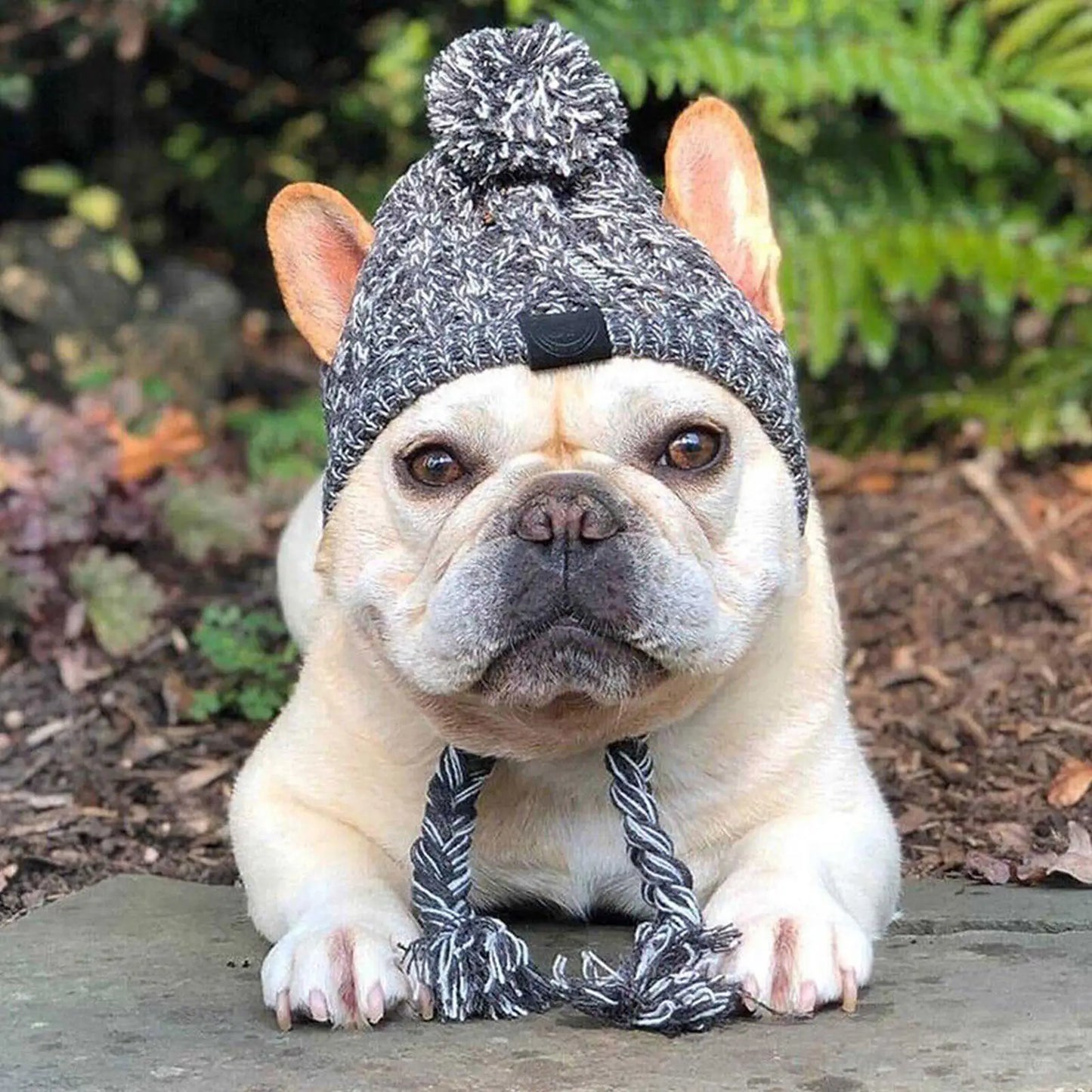 🐾 Cozy Cable-Knit Dog Hat – Winter Warmth with Style