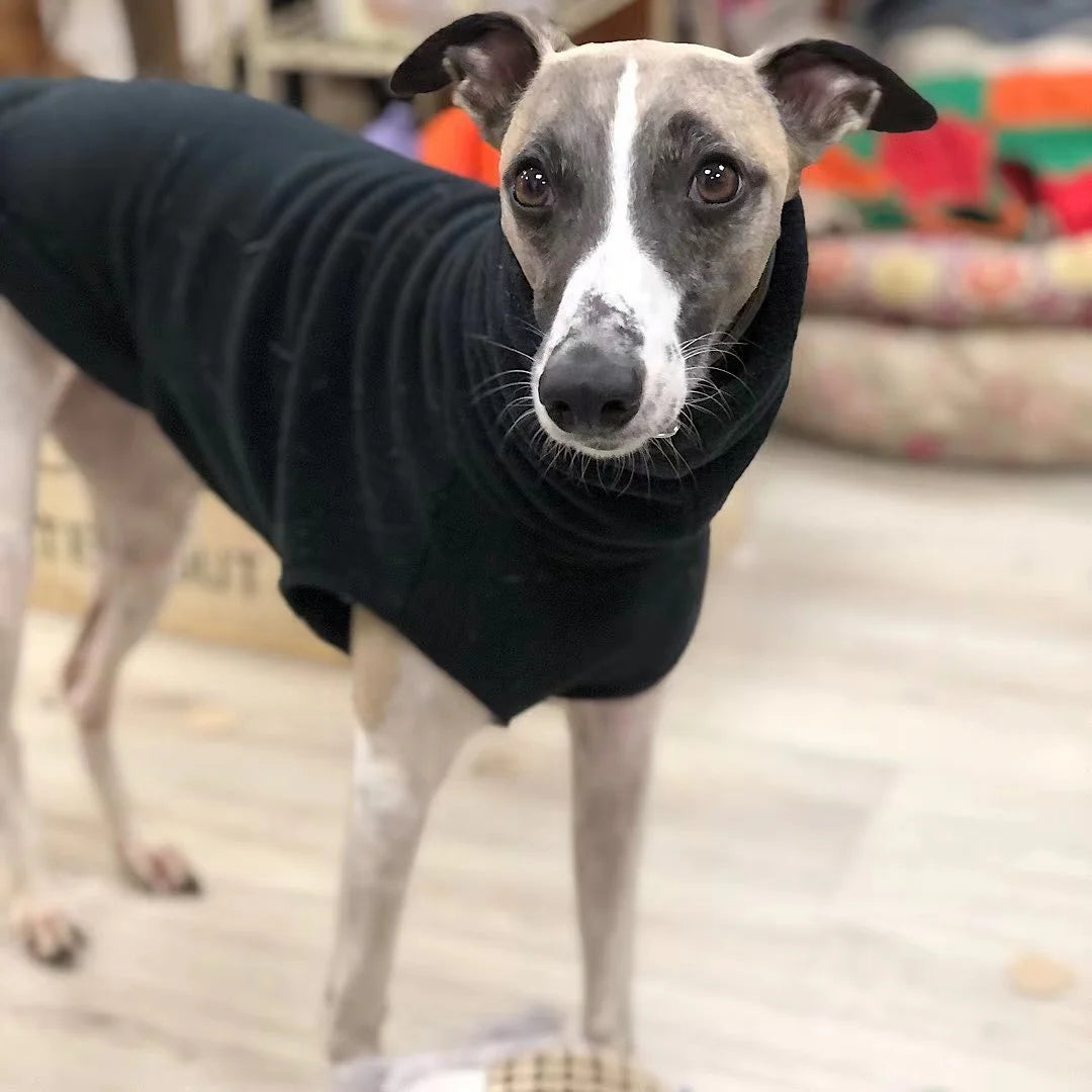 Fleece Turtleneck Dog Vest - Winter Warm Clothes for Italian Greyhounds & Whippets