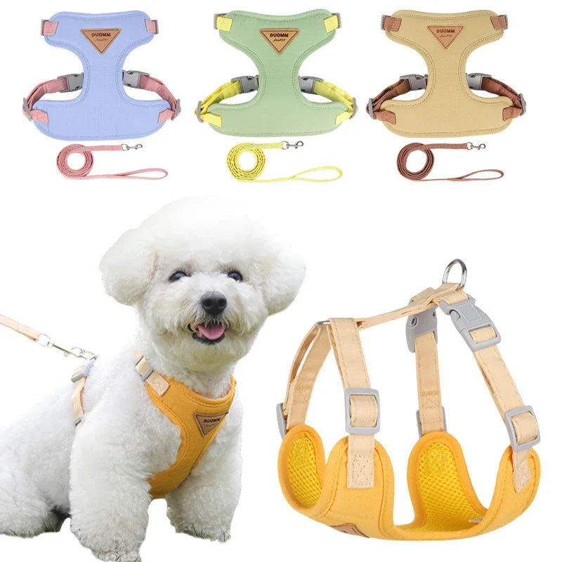 Breathable Puppy Harness Leash Set for Small Dogs & Cats - French Bulldog, Chihuahua, Poodle Pet Supplies Ditzy Petunia