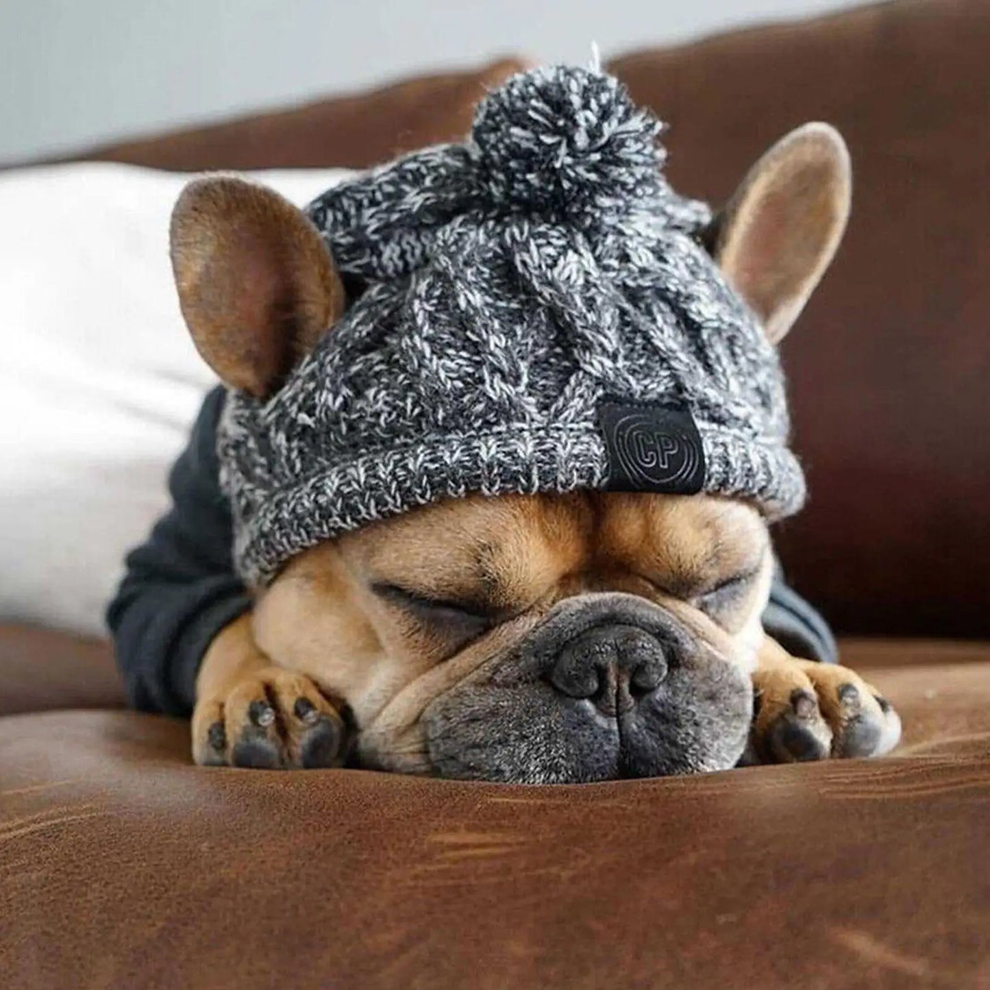 🐾 Cozy Cable-Knit Dog Hat – Winter Warmth with Style