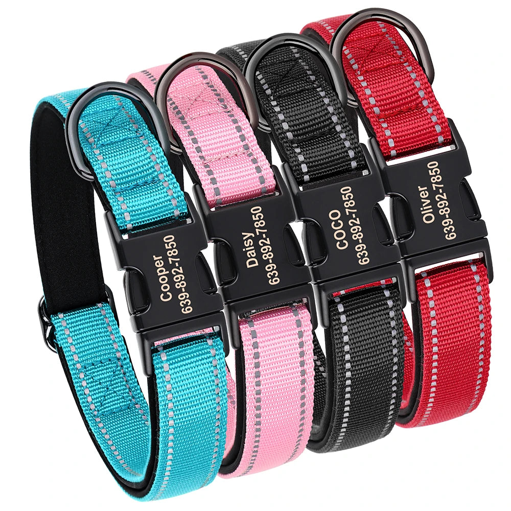 Reflective Personalized Dog Collar with Engraved ID – Soft Padded Nylon Adjustable Collar for All Dog Sizes Ditzy Petunia