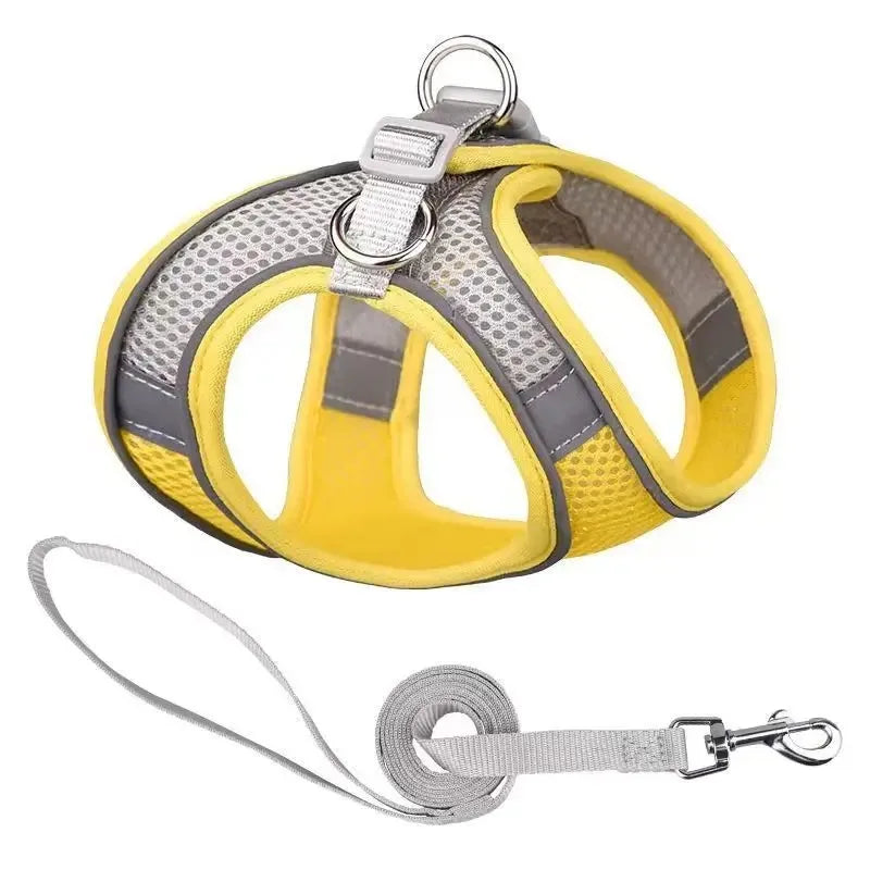 Reflective Dog Harness and Leash Set - Soft, Comfortable, Breakaway Design for Safe Walks Ditzy Petunia