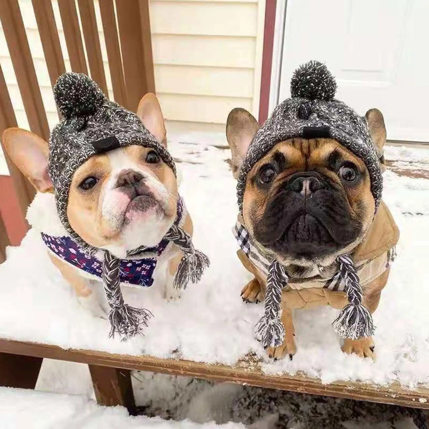 🐾 Cozy Cable-Knit Dog Hat – Winter Warmth with Style