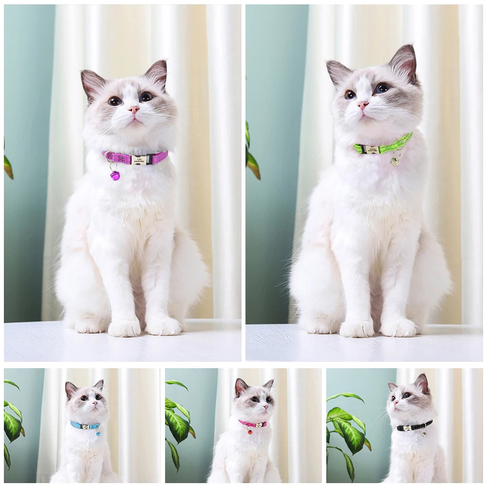 Personalized Reflective Cat Collar with Bell – Adjustable Nylon Collar for Small Dogs & Cats Ditzy Petunia