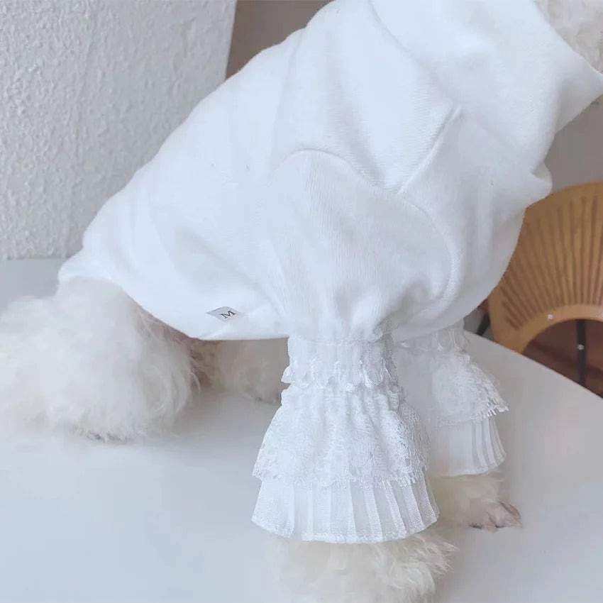 Winter Cat & Dog Clothes – Warm Lace Pet Clothing for Small Dogs & Yorkies