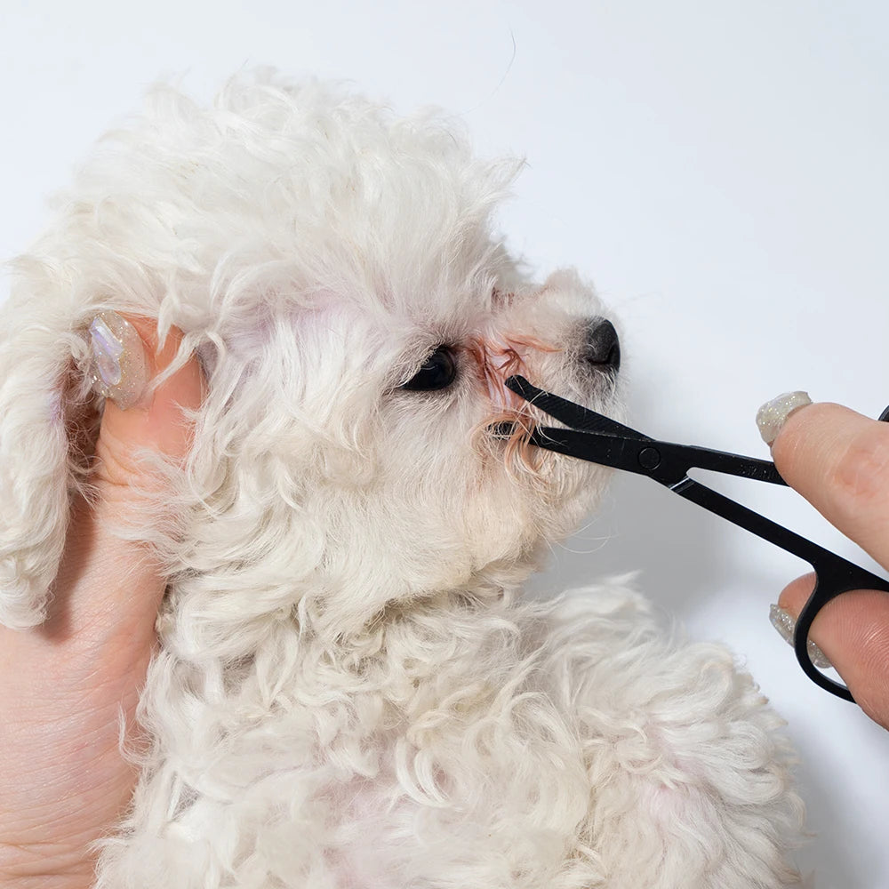 Pet Facial Cleaning Comb & Scissors Set – Tear Stain Remover & Grooming Tool for Dogs and Cats