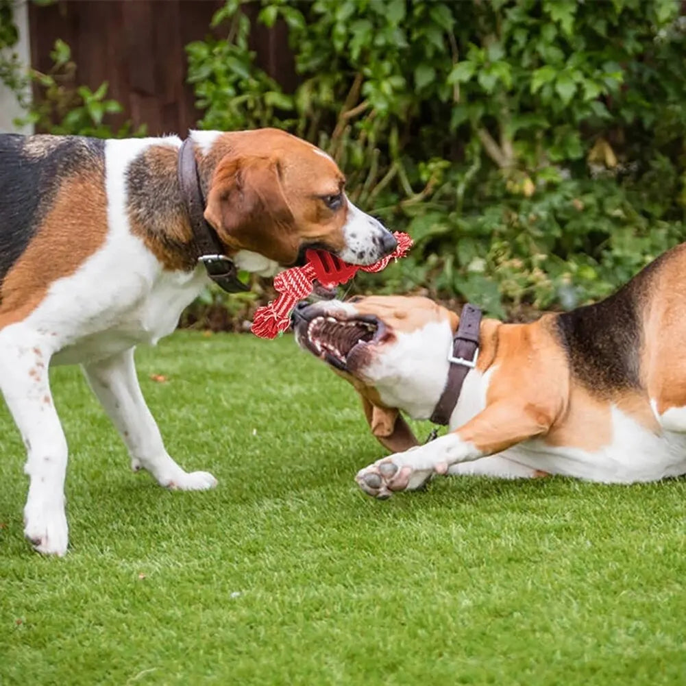 Bite Resistant Dog Rope Toy - Interactive Cotton Bone Chew Knot for Small Puppies, Teeth Cleaning Durable Dog Toy