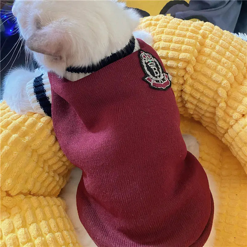 πΆ Cozy Knitted Dog Sweater β Soft & Stylish Winter Pet Outfit
