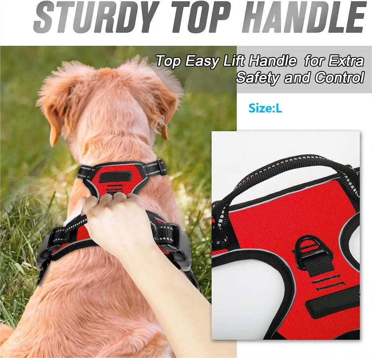 Reflective Vest Dog Harness - Adjustable Comfortable No Pull Harness for All Dog Sizes Ditzy Petunia