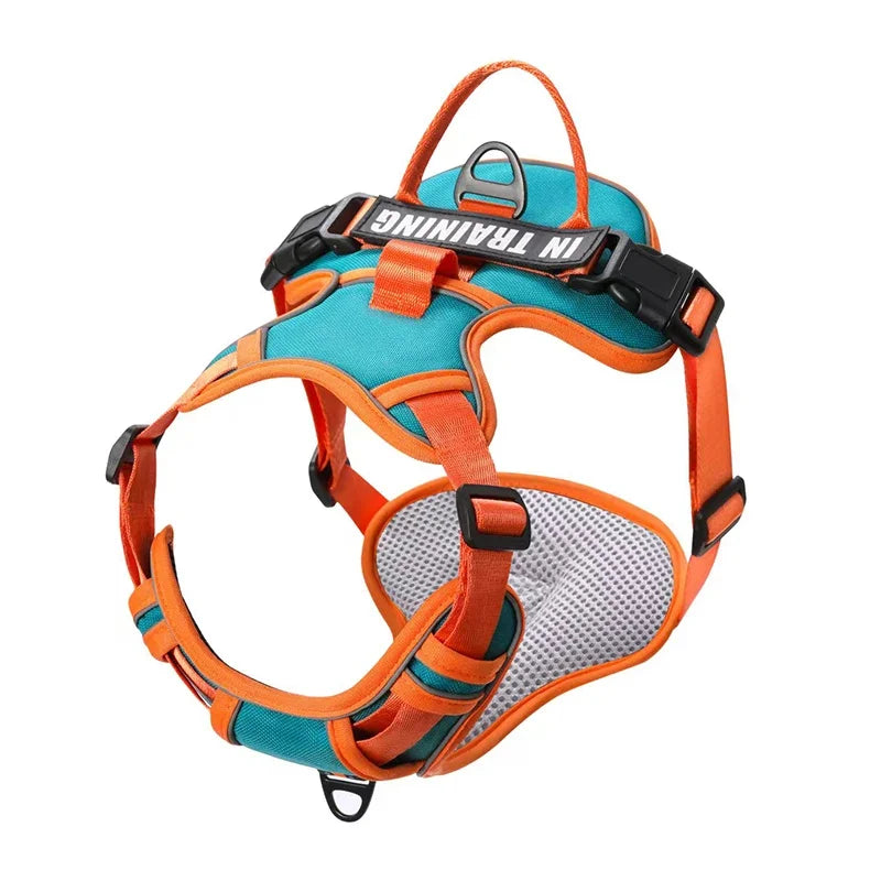 Adjustable Reflective Dog Harness – No-Pull, Breathable, Personalized