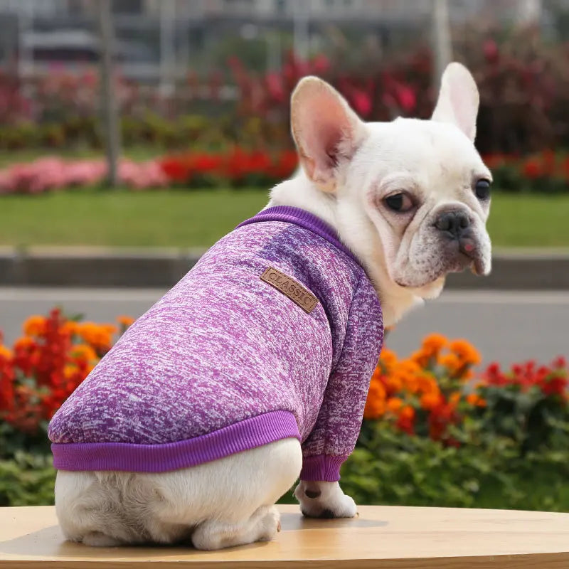 🐶 Cozy Autumn Dog Sweatshirt – Warm Pet Jacket for Small & Medium Dogs