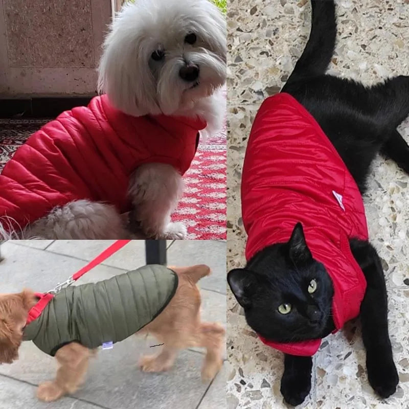 Small Cat Or Dog Winter Warm Pet Vest - Chihuahua, French Bulldog, Yorkie Puppy Coat Ditzy Petunia