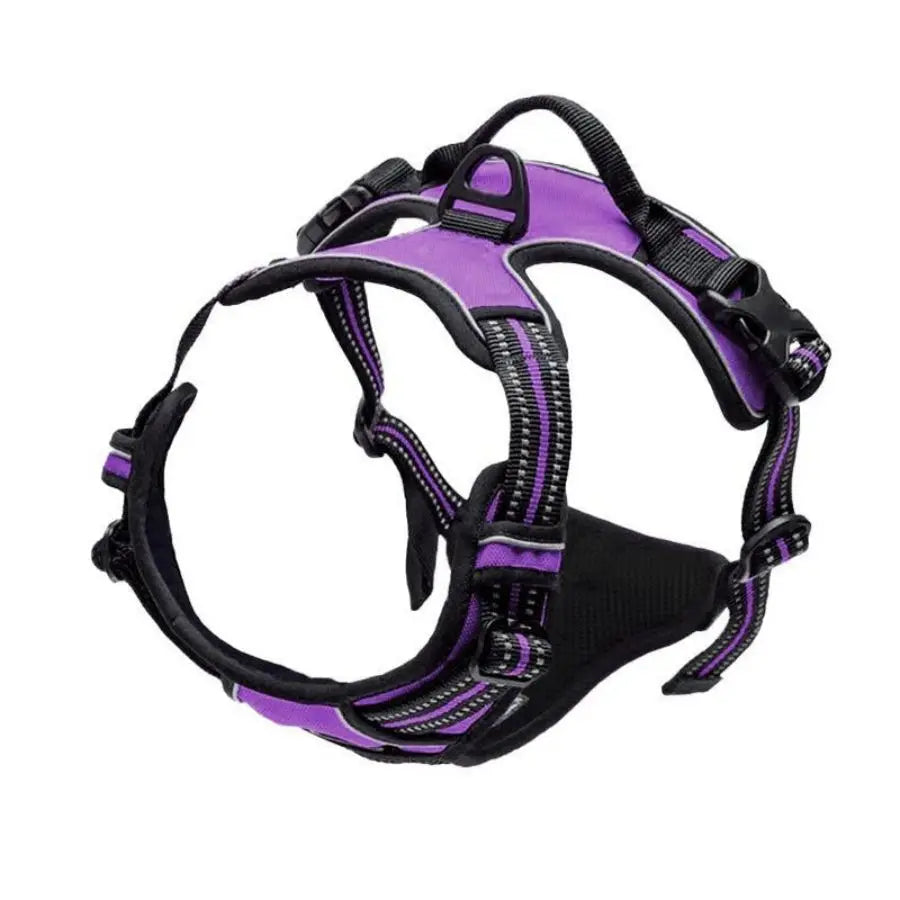 Reflective Vest Dog Harness - Adjustable Comfortable No Pull Harness for All Dog Sizes Ditzy Petunia