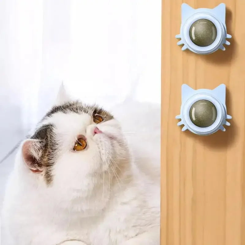 Lickable Catnip Ball Toy – 360° Rotating Chew Toy for Cats | Teeth Cleaning & Wall-Mountable Play Ball