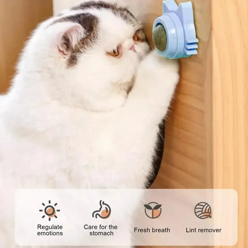 Lickable Catnip Ball Toy – 360° Rotating Chew Toy for Cats | Teeth Cleaning & Wall-Mountable Play Ball
