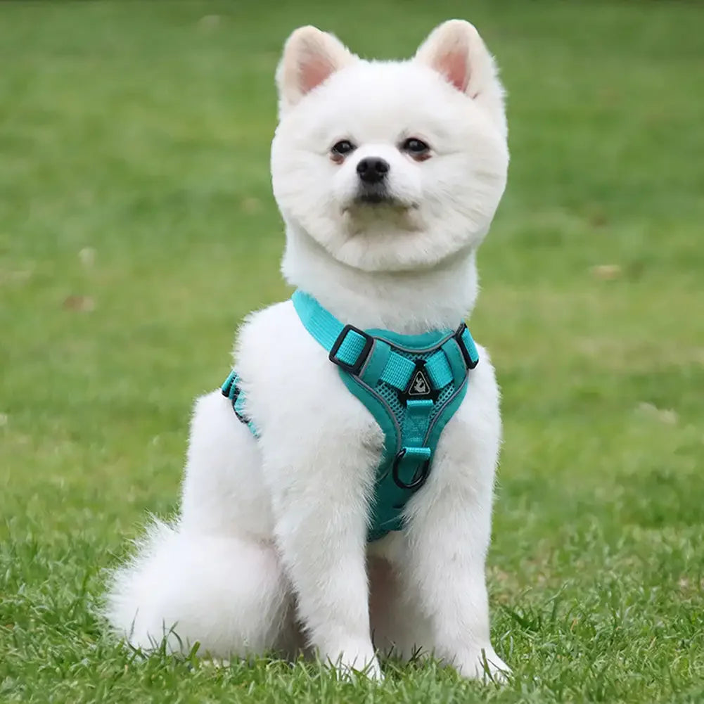 Reflective Adjustable Saddle Dog Harness & Leash Set – No-Pull Halter for Small to Large Dogs
