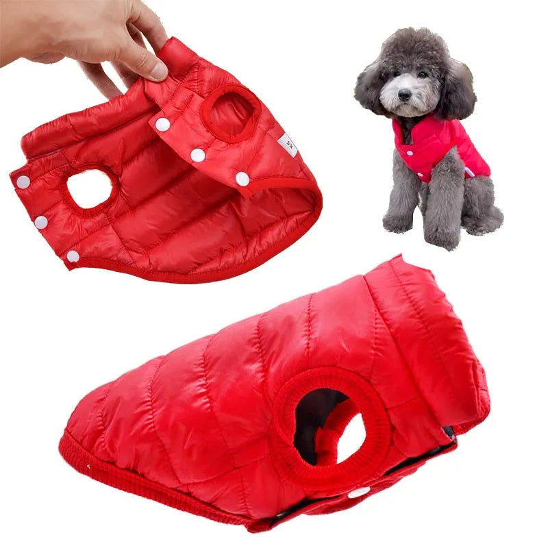 Small Cat Or Dog Winter Warm Pet Vest - Chihuahua, French Bulldog, Yorkie Puppy Coat Ditzy Petunia