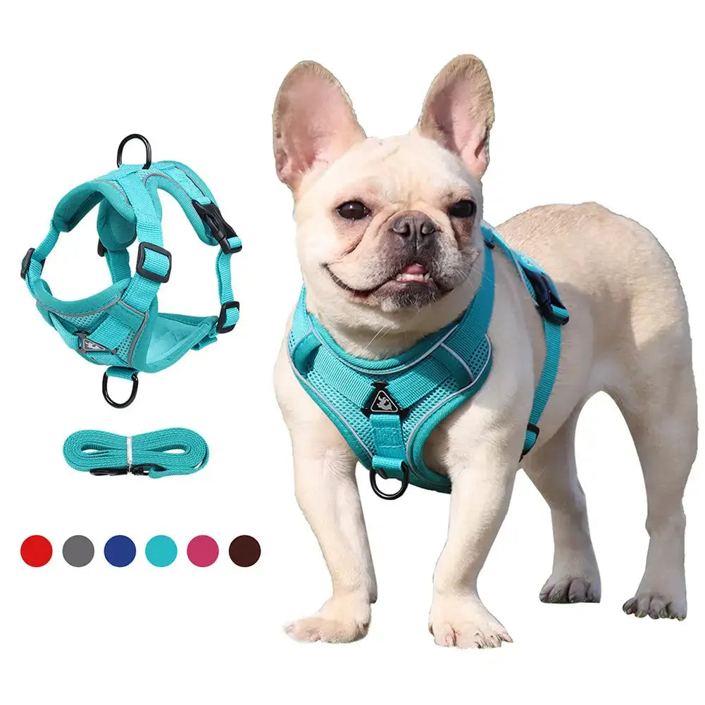 Reflective Adjustable Saddle Dog Harness & Leash Set – No-Pull Halter for Small to Large Dogs