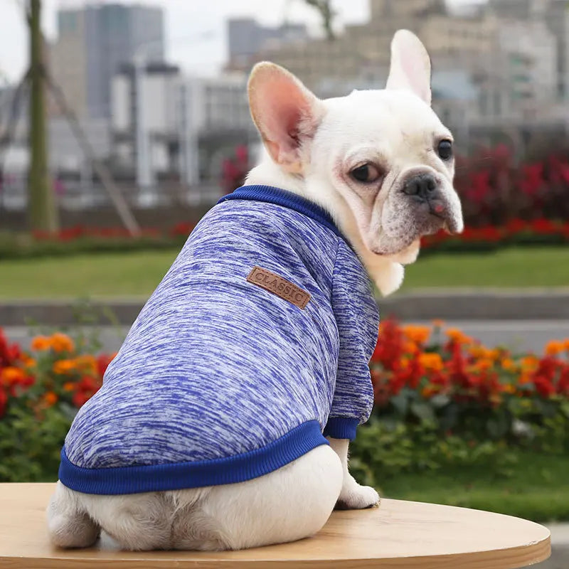 🐶 Cozy Autumn Dog Sweatshirt – Warm Pet Jacket for Small & Medium Dogs