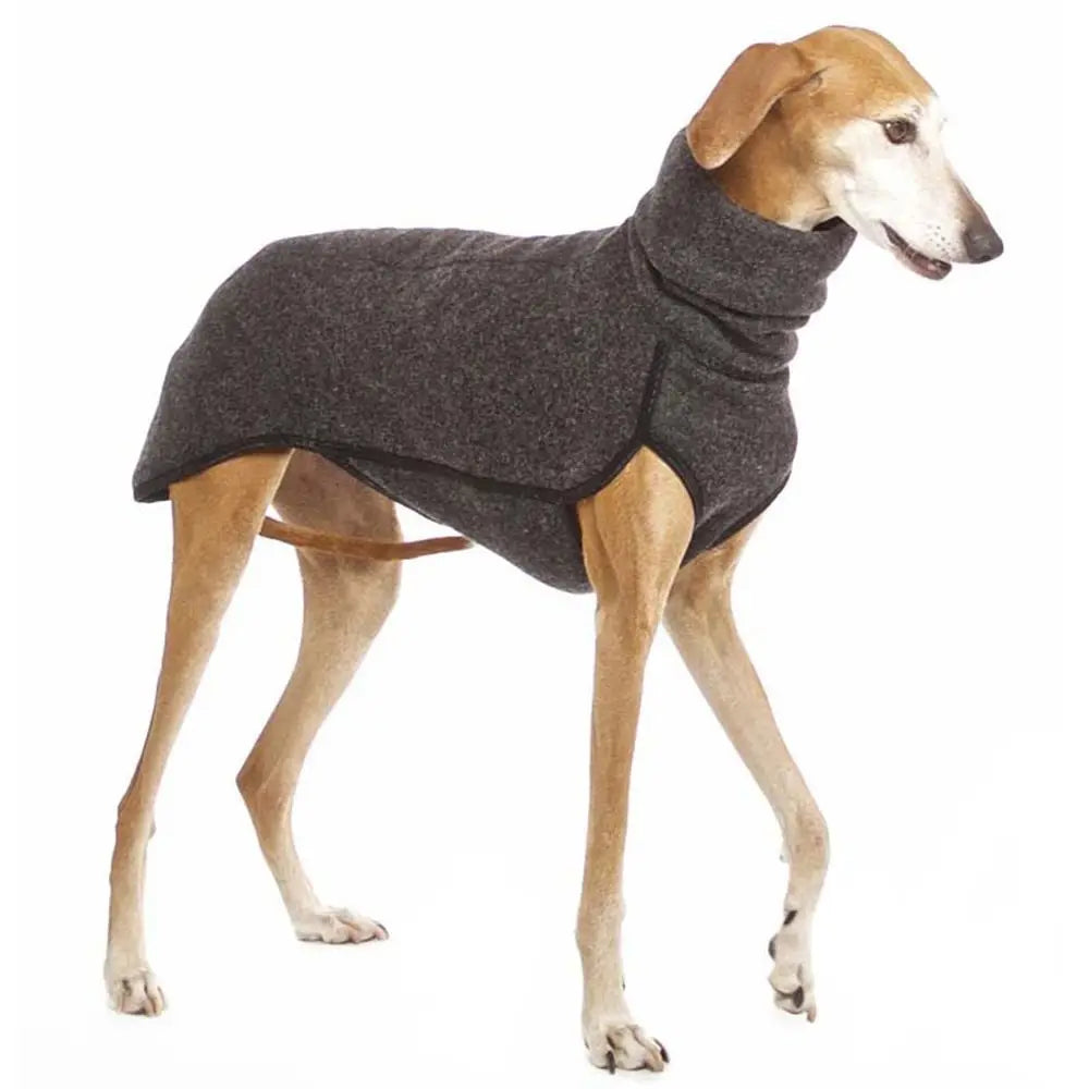 Winter High Collar Dog Sweater | Soft Cotton Hoodie Coat for Medium & Large Dogs | Warm Pitbull, Great Dane, and Greyhound Coat