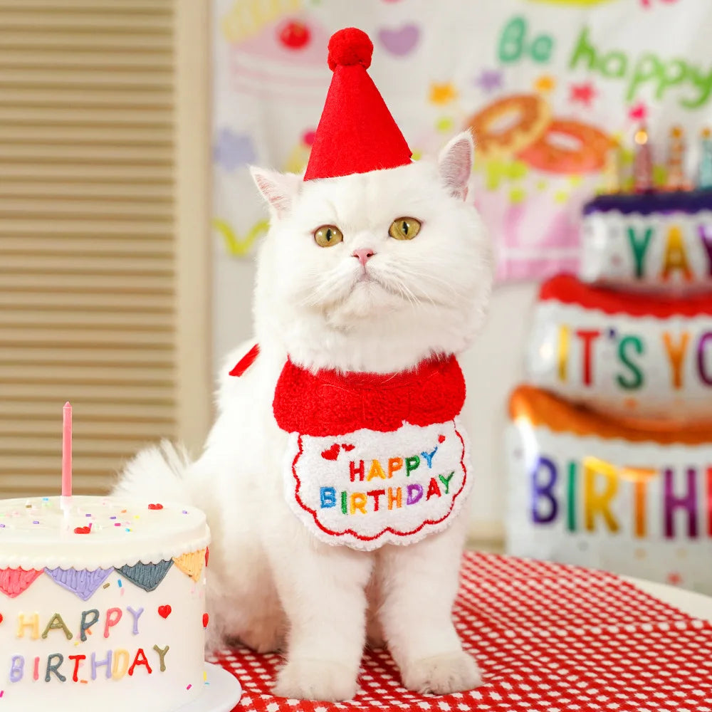 Pet Birthday Hat & Scarf Set – Adjustable Cat/Dog Birthday Supplies with Mini Saliva Towel