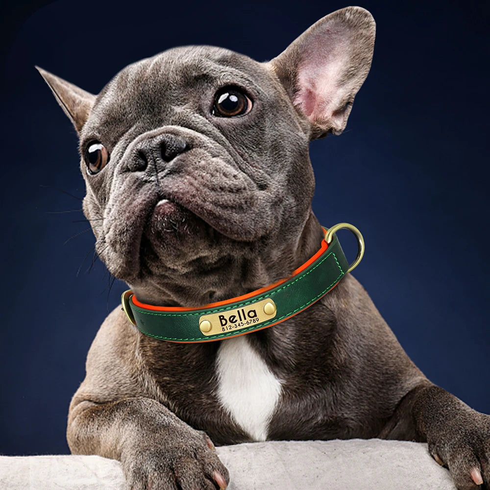 Customized Leather ID Nameplate Dog Collar Soft Padded Dogs Collars Free Engraving Name for Small Medium Large Dogs Adjustable Ditzy Petunia