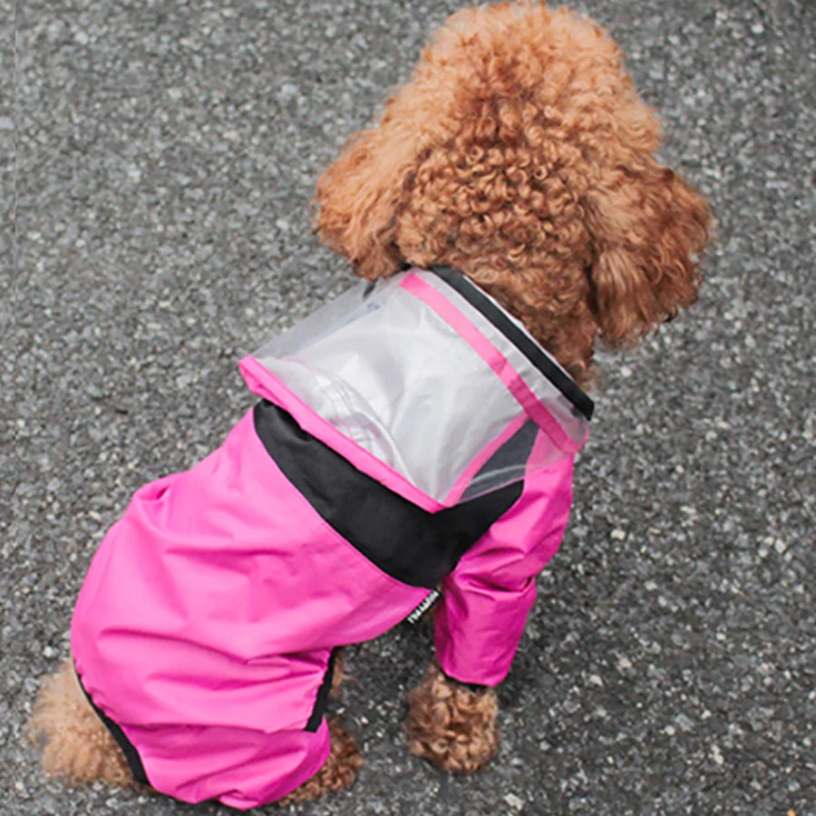 Fashionable Waterproof Pet Raincoat with Hoodie for Dogs, XS-4XL, Light & Comfortable Ditzy Petunia