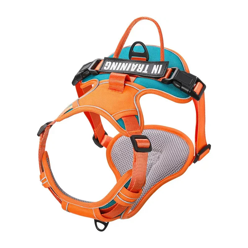 Adjustable Reflective Dog Harness – No-Pull, Breathable, Personalized