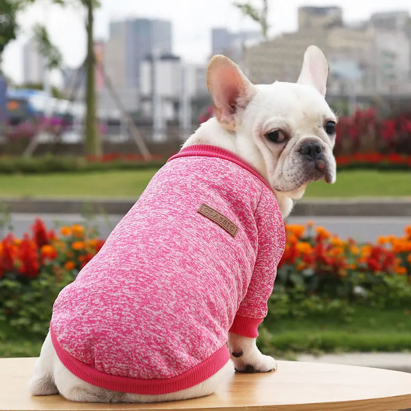 🐶 Cozy Autumn Dog Sweatshirt – Warm Pet Jacket for Small & Medium Dogs
