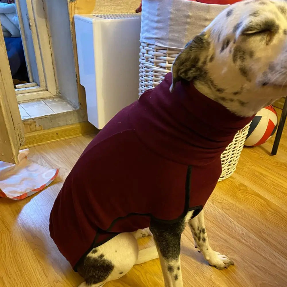 Winter High Collar Dog Sweater | Soft Cotton Hoodie Coat for Medium & Large Dogs | Warm Pitbull, Great Dane, and Greyhound Coat