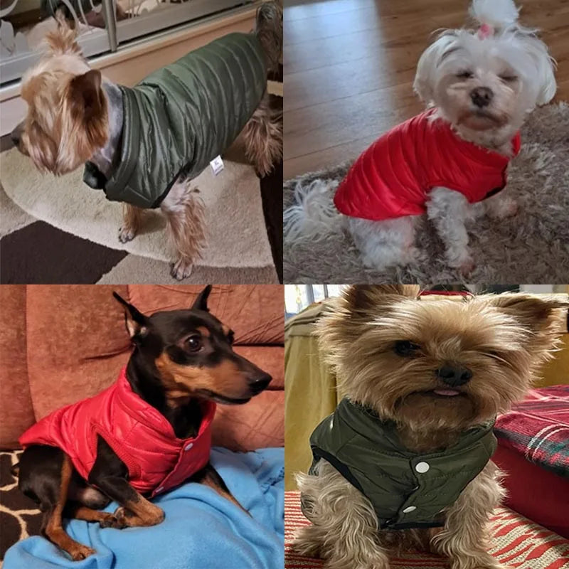Small Cat Or Dog Winter Warm Pet Vest - Chihuahua, French Bulldog, Yorkie Puppy Coat Ditzy Petunia