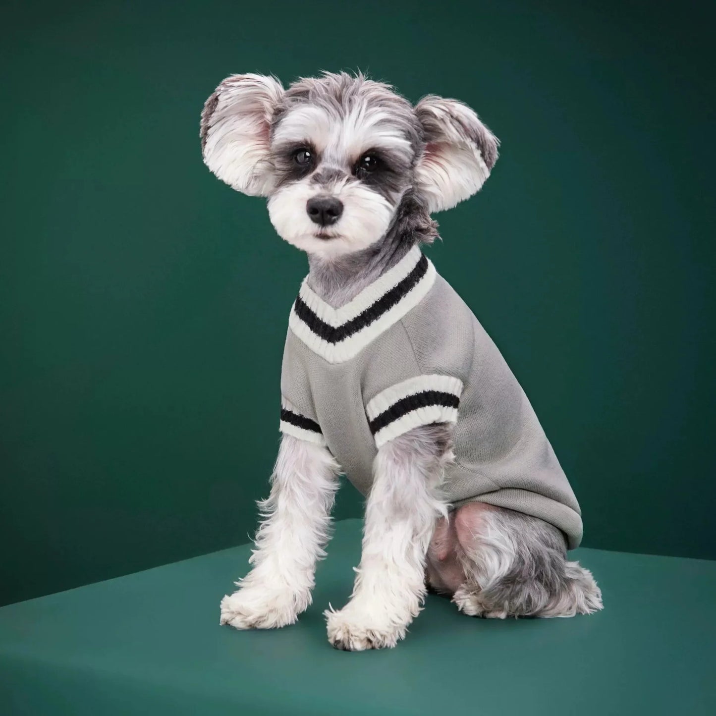 Autumn Winter Pet Cat Dog Sweater - Warm Coat for Small, Medium, and Large Pets Ditzy Petunia
