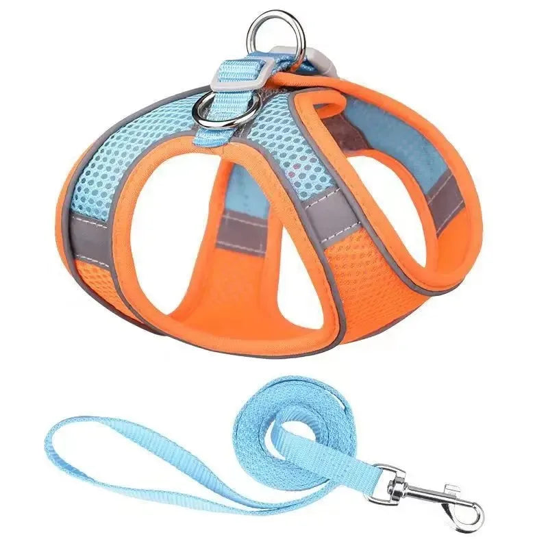 Reflective Dog Harness and Leash Set - Soft, Comfortable, Breakaway Design for Safe Walks Ditzy Petunia
