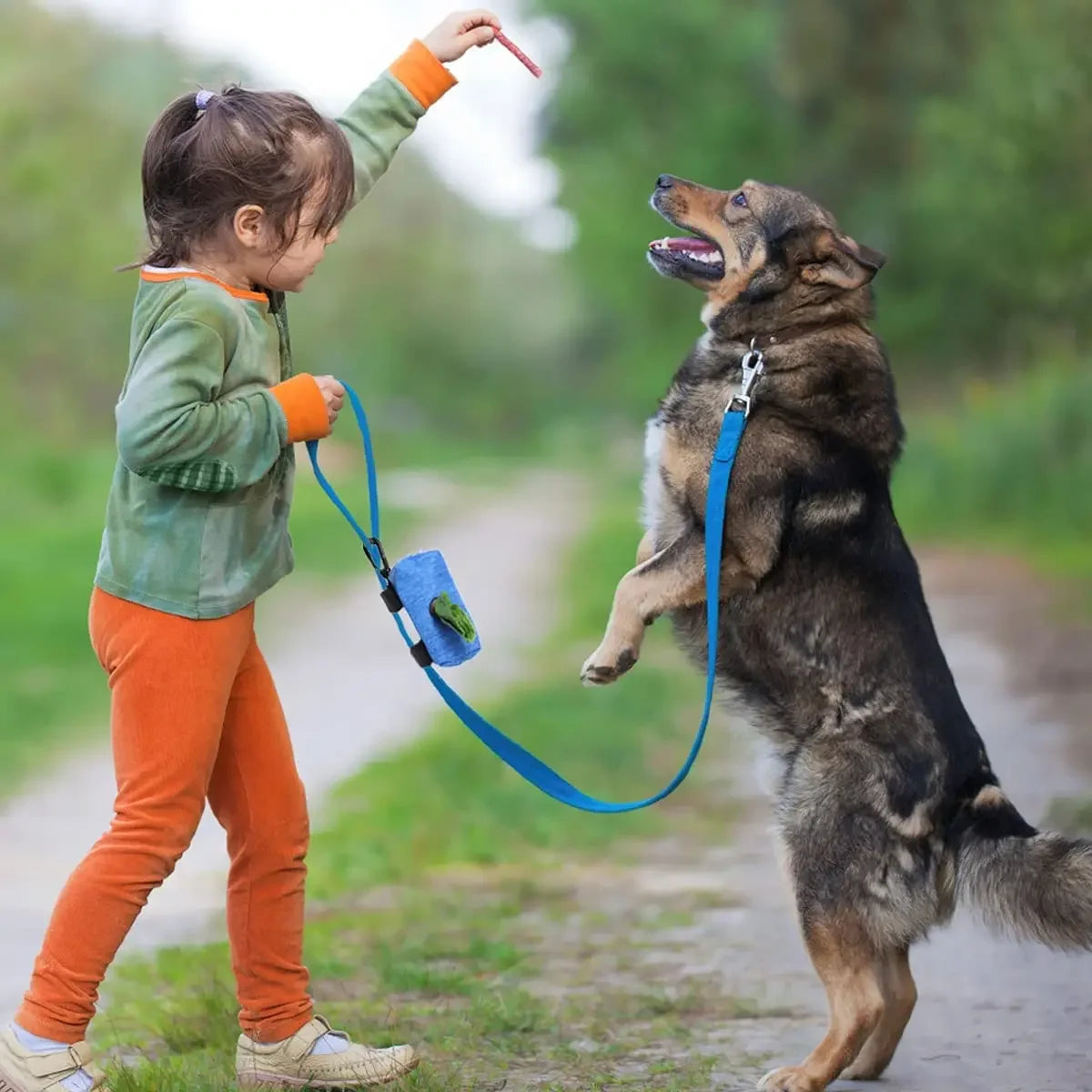 Portable Dog Poop Bag Dispenser with Auto-Lock Zipper, Waterproof Oxford Fabric, 2 Pockets for Leash, Key & Cards Ditzy Petunia