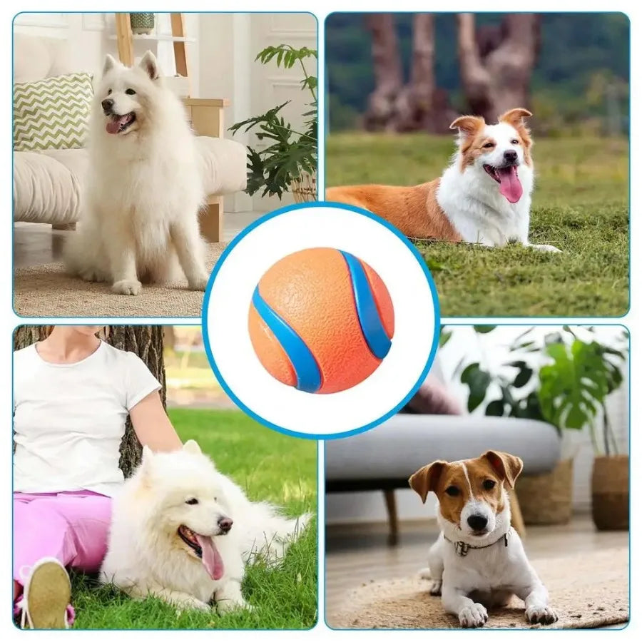 Dog Chew Toy Ball | Rubber Dog Ball for Teeth Cleaning, Chewing, and Play | Durable Pet Toy for Small, Medium, and Large Dogs