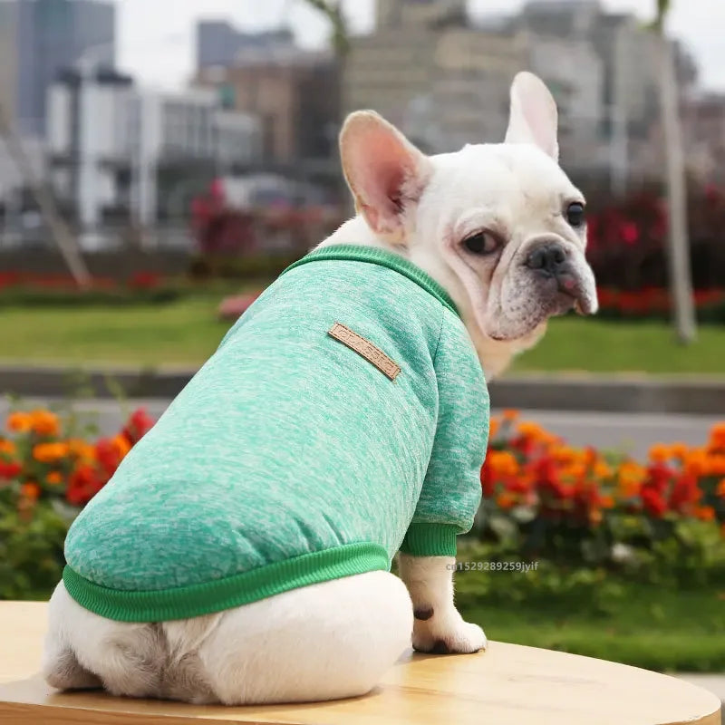 🐶 Cozy Autumn Dog Sweatshirt – Warm Pet Jacket for Small & Medium Dogs