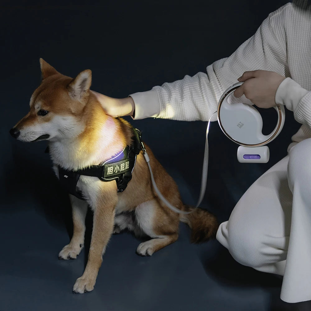 LED Retractable Dog Leash with Built-In Waste Bag Holder – 3M Nylon Lead for Small & Medium Dogs