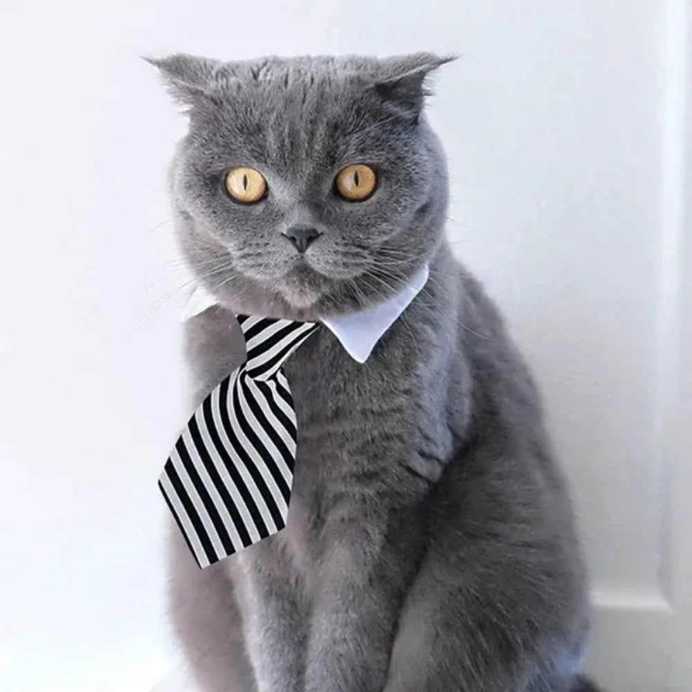 Adjustable Pet Bow Tie Necktie for Small Dogs and Cats - Formal Puppy Grooming Collar