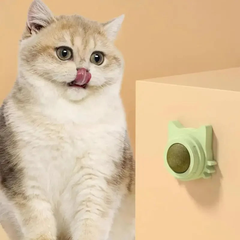 Lickable Catnip Ball Toy – 360° Rotating Chew Toy for Cats | Teeth Cleaning & Wall-Mountable Play Ball
