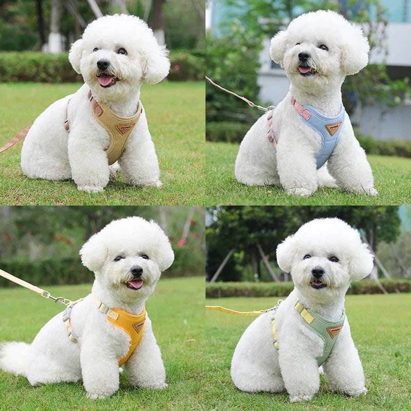 Breathable Puppy Harness Leash Set for Small Dogs & Cats - French Bulldog, Chihuahua, Poodle Pet Supplies Ditzy Petunia