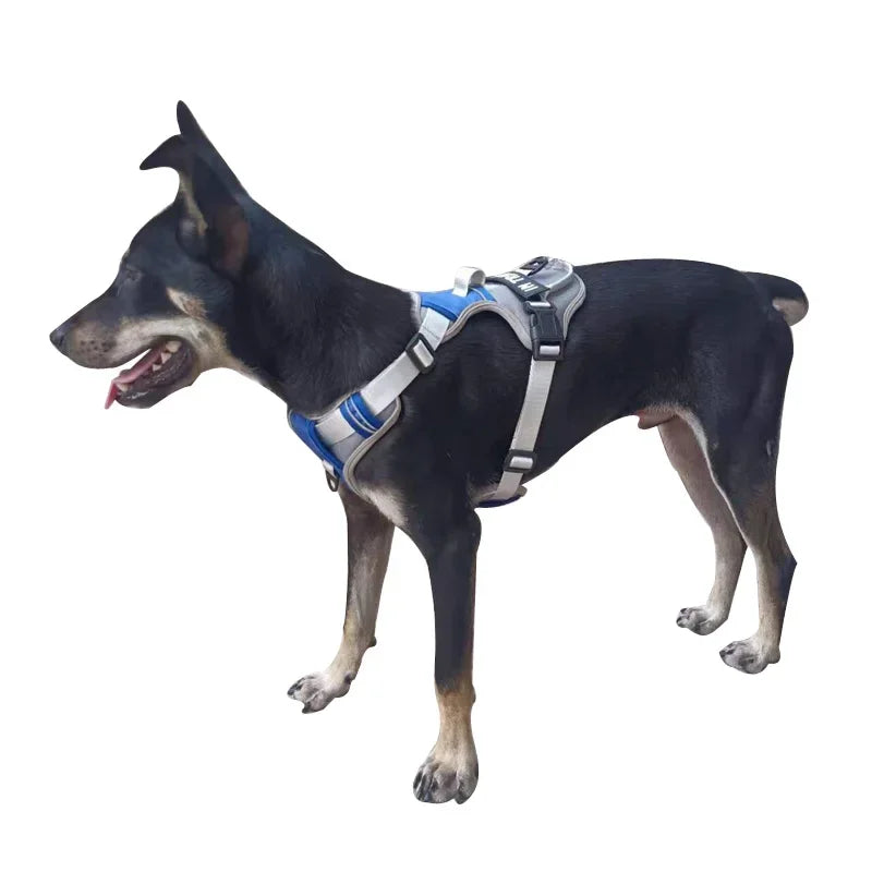 Adjustable Reflective Dog Harness – No-Pull, Breathable, Personalized