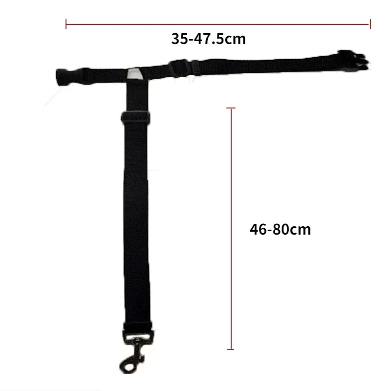 Adjustable Pet Car Seat Belt Leash - Durable Safety Harness for Dogs and Cats Ditzy Petunia