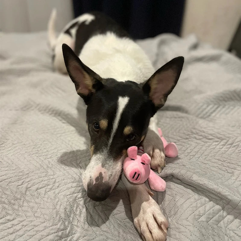 Plush Squeaky Dog Toy | Cute Animal Shapes Interactive Chew Toy for Small Dogs