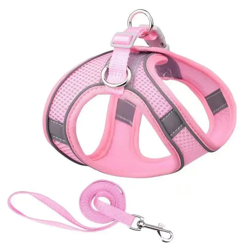Reflective Dog Harness and Leash Set - Soft, Comfortable, Breakaway Design for Safe Walks Ditzy Petunia