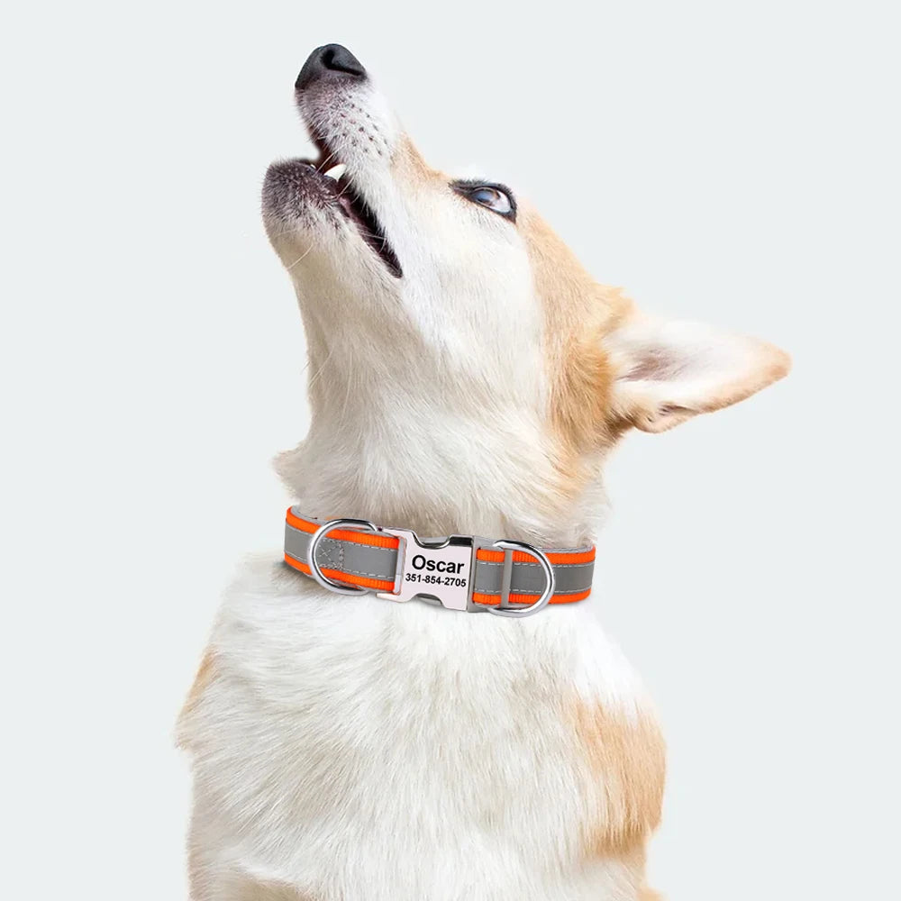 Reflective Personalized Dog Collar with Engraved ID – Soft Padded Nylon Adjustable Collar for All Dog Sizes Ditzy Petunia
