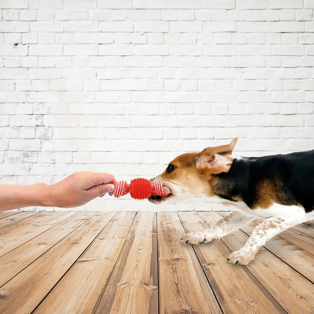 Bite Resistant Dog Rope Toy - Interactive Cotton Bone Chew Knot for Small Puppies, Teeth Cleaning Durable Dog Toy