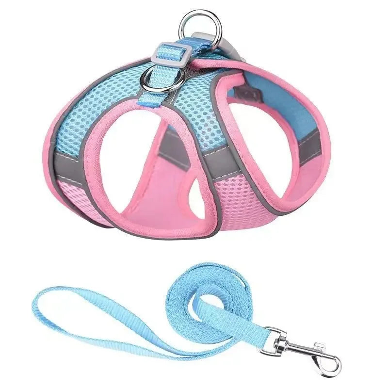Reflective Dog Harness and Leash Set - Soft, Comfortable, Breakaway Design for Safe Walks Ditzy Petunia