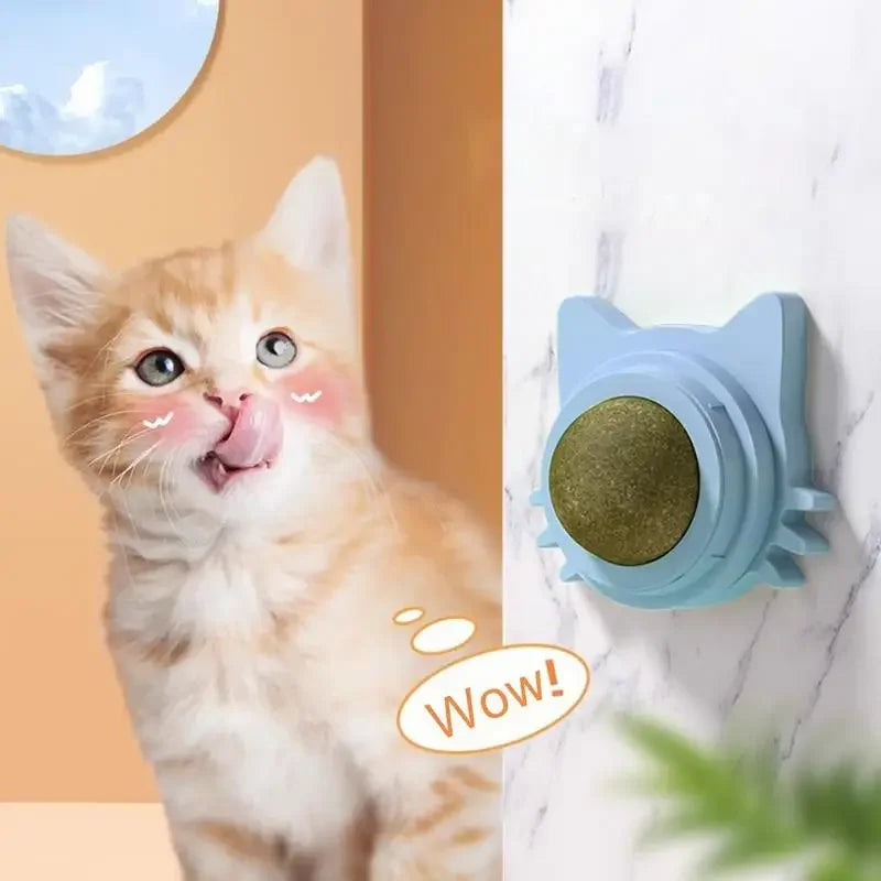 Lickable Catnip Ball Toy – 360° Rotating Chew Toy for Cats | Teeth Cleaning & Wall-Mountable Play Ball