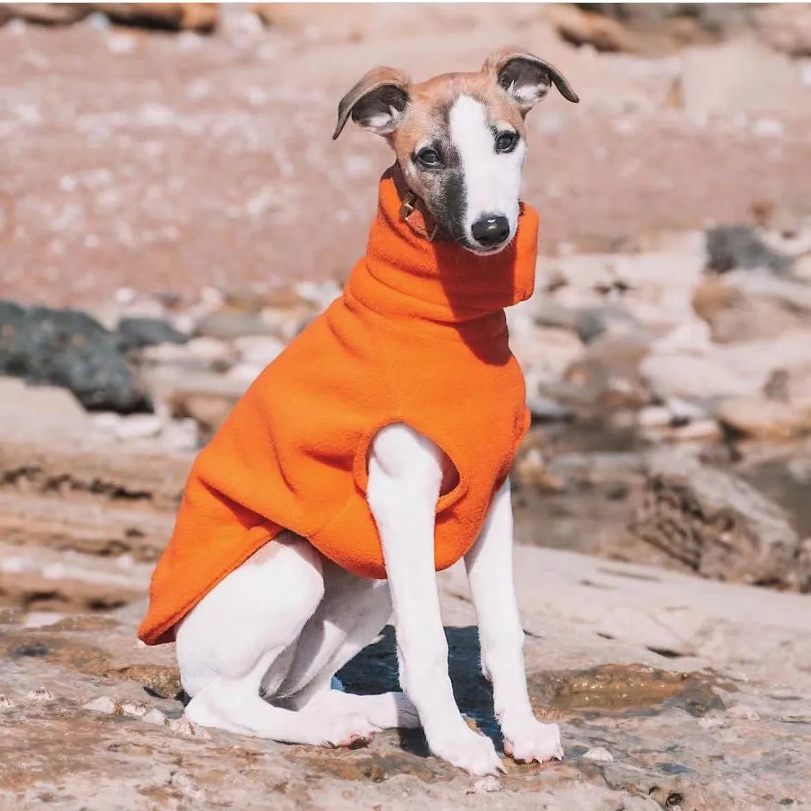 Fleece Turtleneck Dog Vest - Winter Warm Clothes for Italian Greyhounds & Whippets