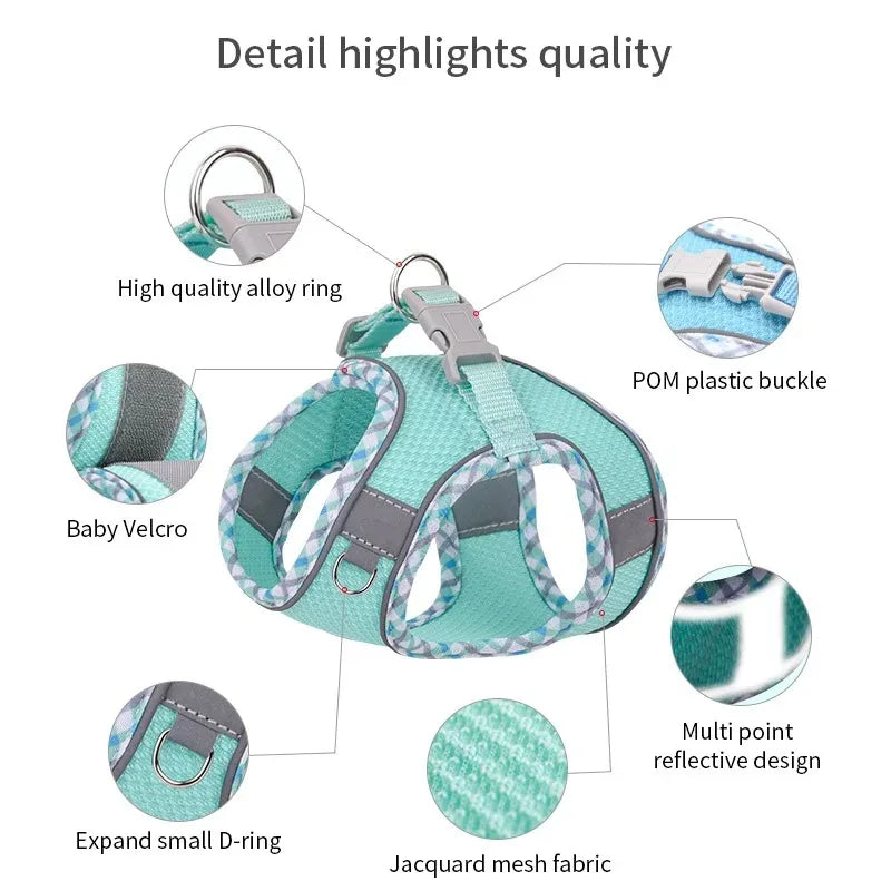 Reflective Dog Harness and Leash Set - Soft, Comfortable, Breakaway Design for Safe Walks Ditzy Petunia